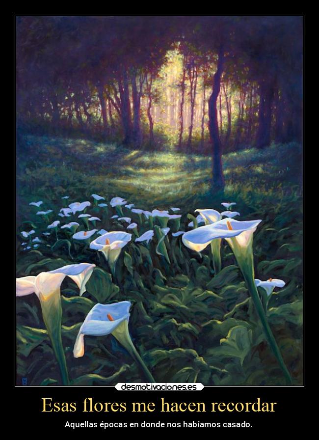 Esas flores me hacen recordar - 