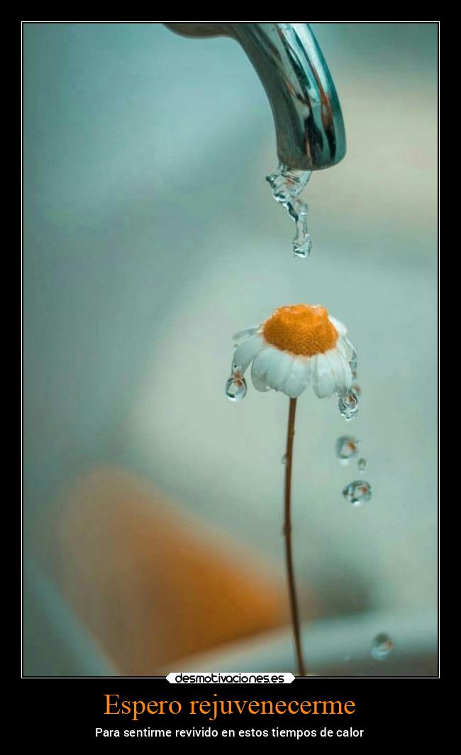 Espero rejuvenecerme - 