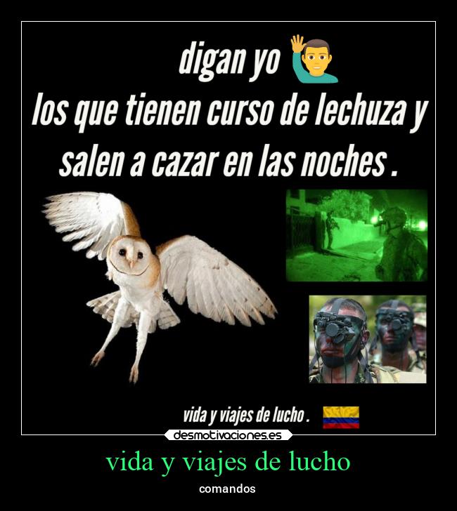 vida y viajes de lucho - comandos