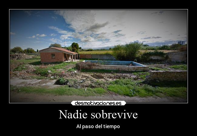 Nadie sobrevive - 