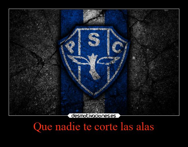 Que nadie te corte las alas - 