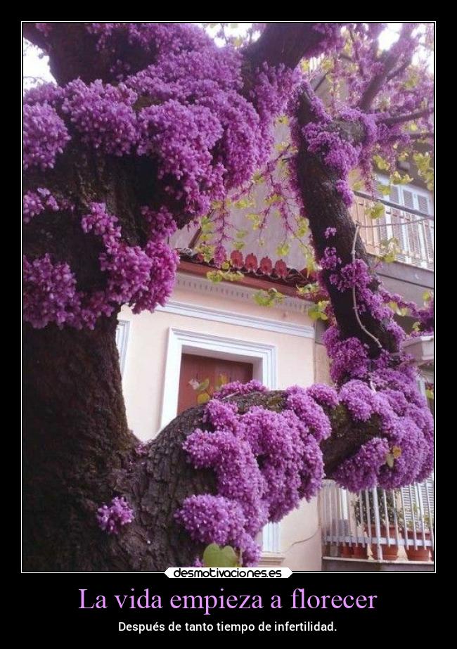 carteles vida vida mexico noticias2022 infertilidad mexico2022 arbol primavera desmospring2022 desmotivaciones