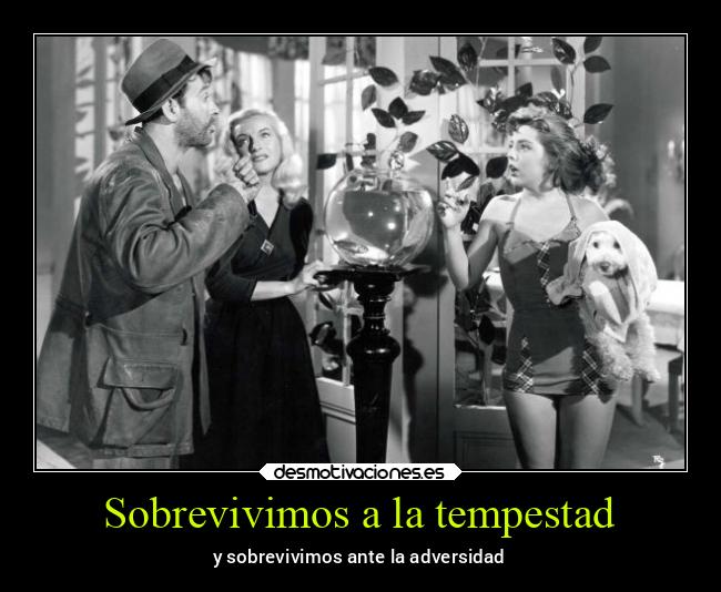 Sobrevivimos a la tempestad - y sobrevivimos ante la adversidad