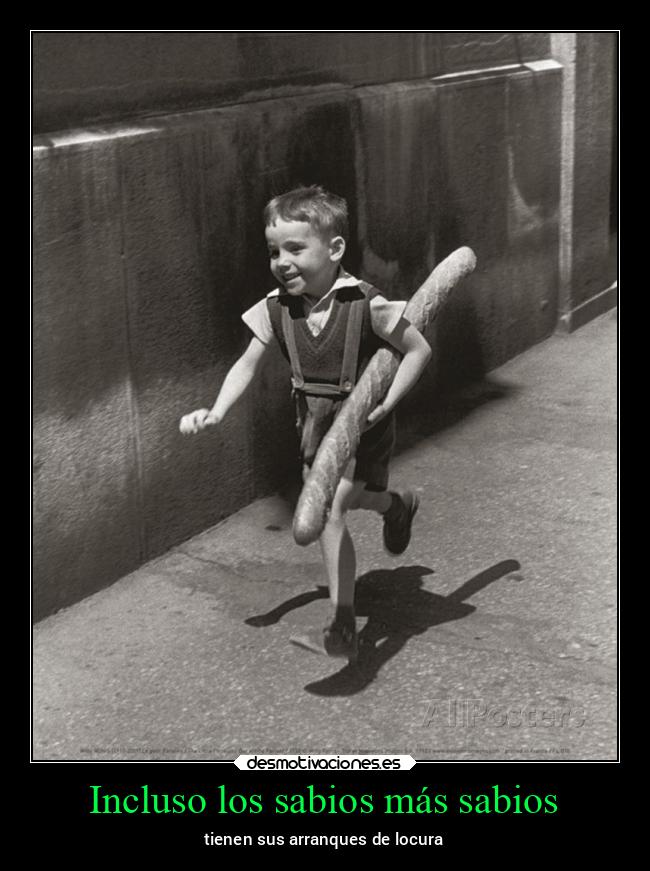 Incluso los sabios más sabios - tienen sus arranques de locura