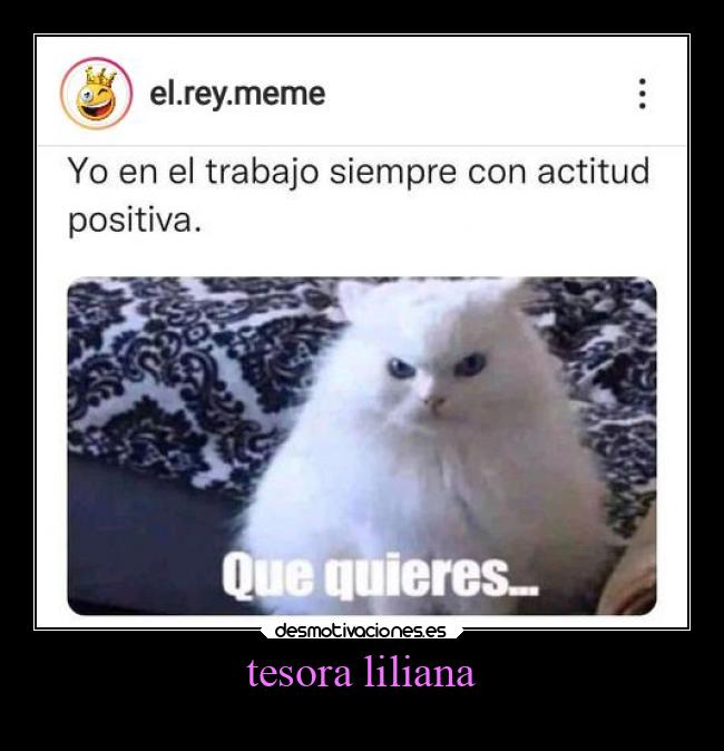 tesora liliana -