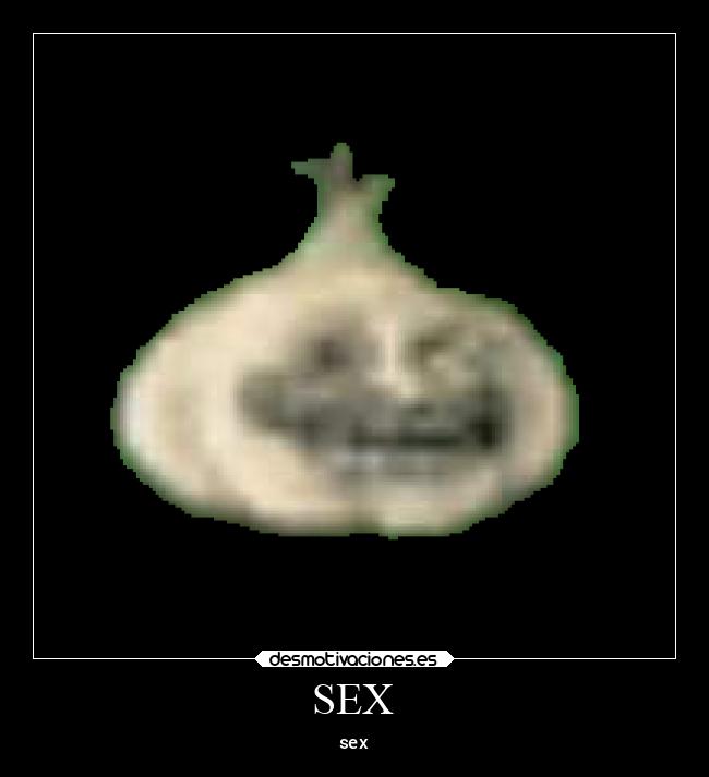 SEX - sex