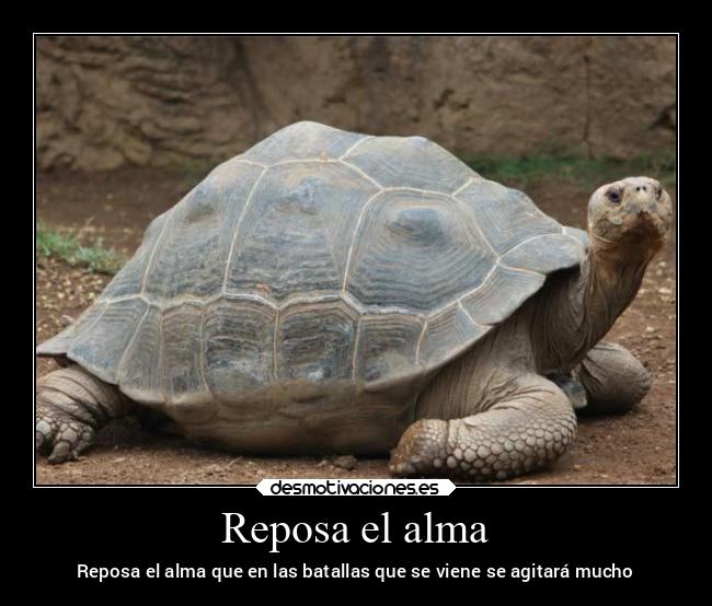 carteles alma alegria desmotivaciones