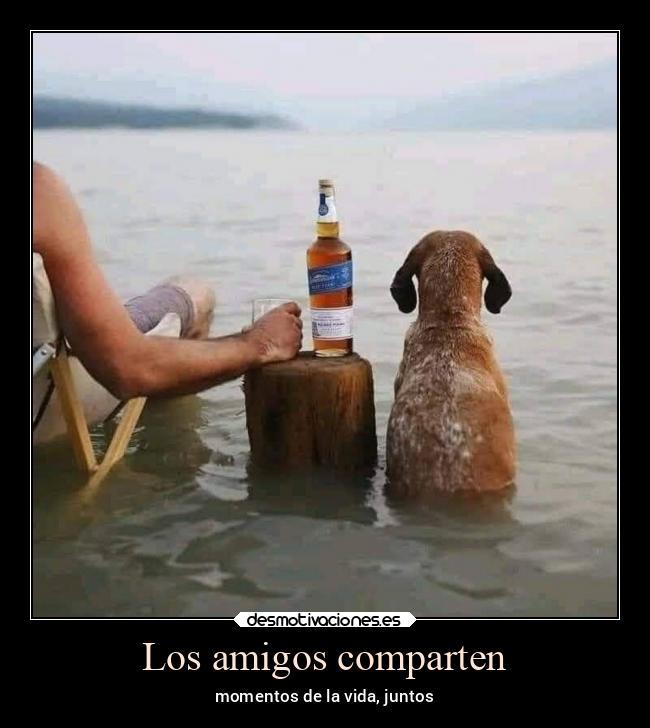 carteles amigos amigos familia libertad desmotivaciones