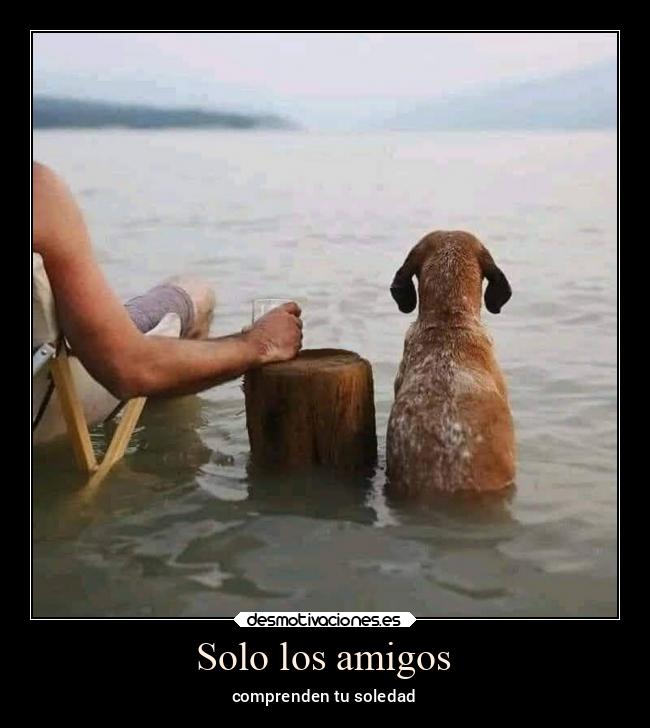 carteles amigos soledad recuerdos desmotivaciones