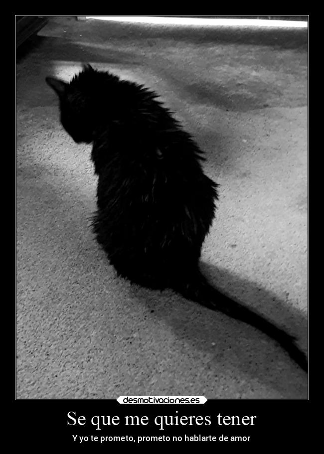 Se que me quieres tener -