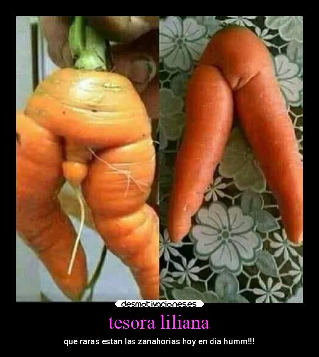 tesora liliana - que raras estan las zanahorias hoy en dia humm!!!