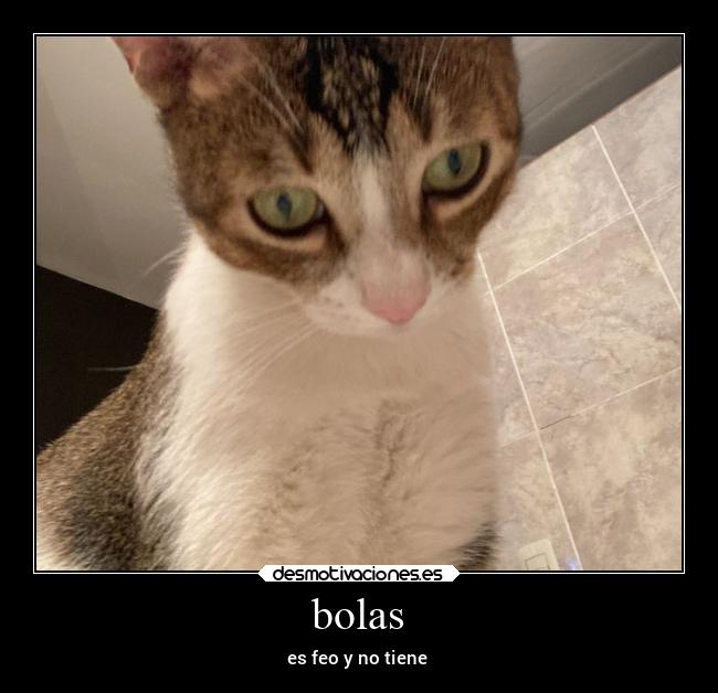 bolas - es feo y no tiene