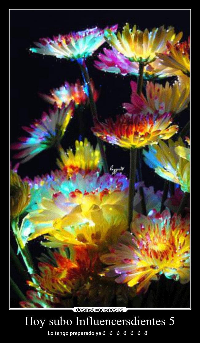 carteles corazon historia humor graciosas motivaciones desmotivaciones