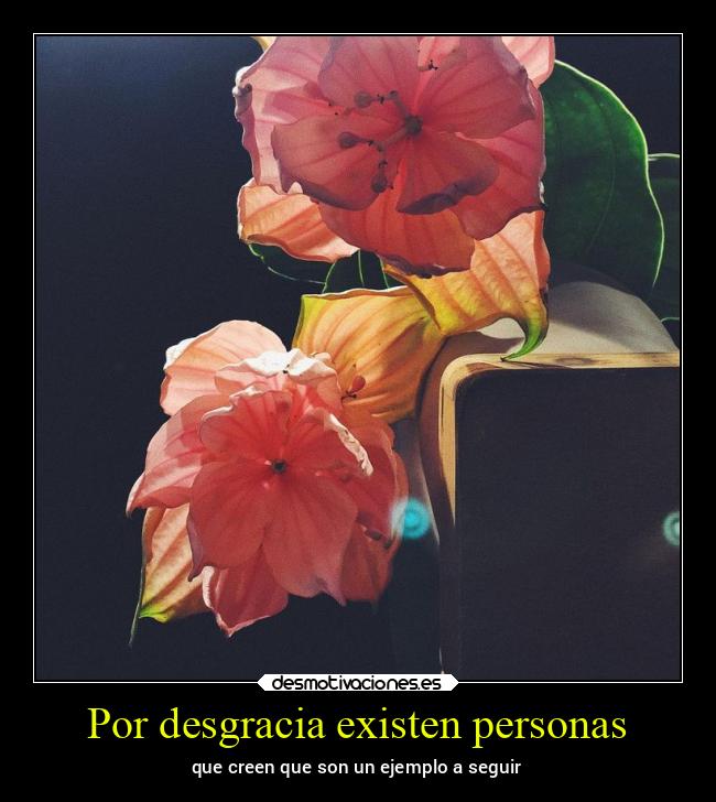 carteles desmotivaciones celos comida ausencia alicea solosubocarteles desmotivaciones