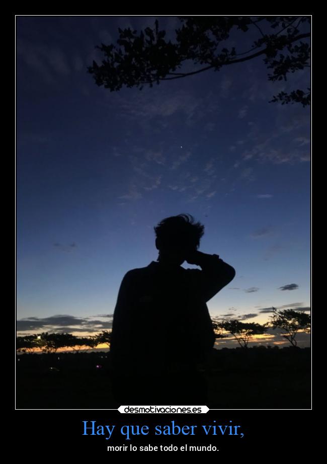 Hay que saber vivir, - 