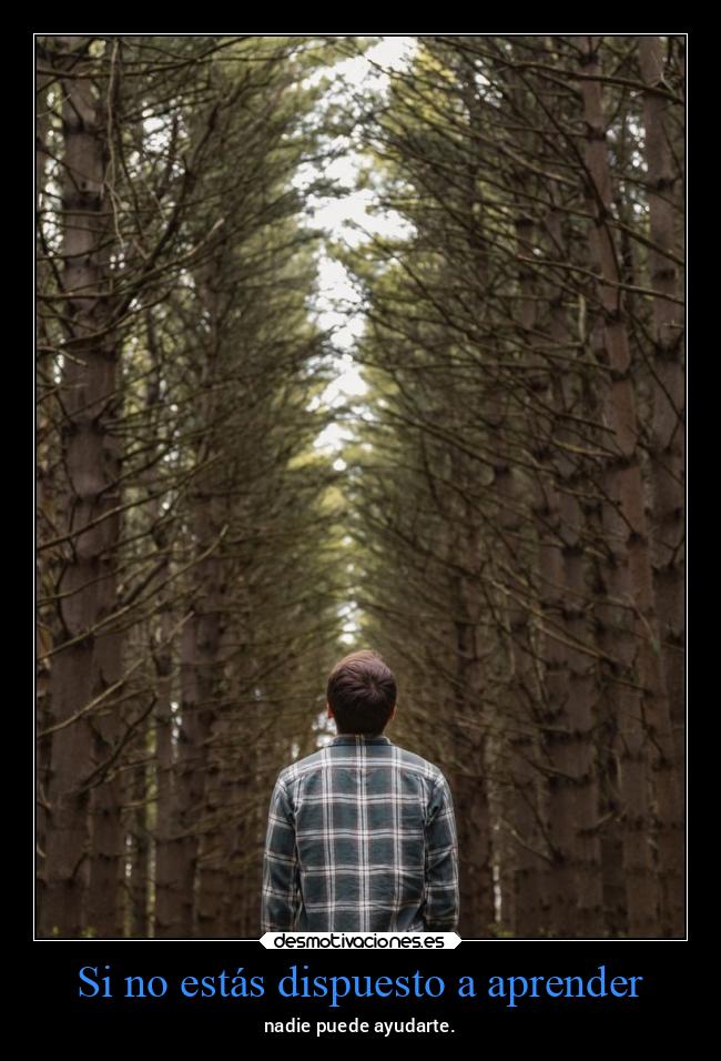 Si no estás dispuesto a aprender -
