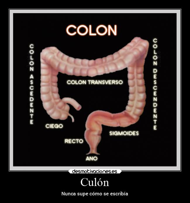 carteles memes desmotivaciones