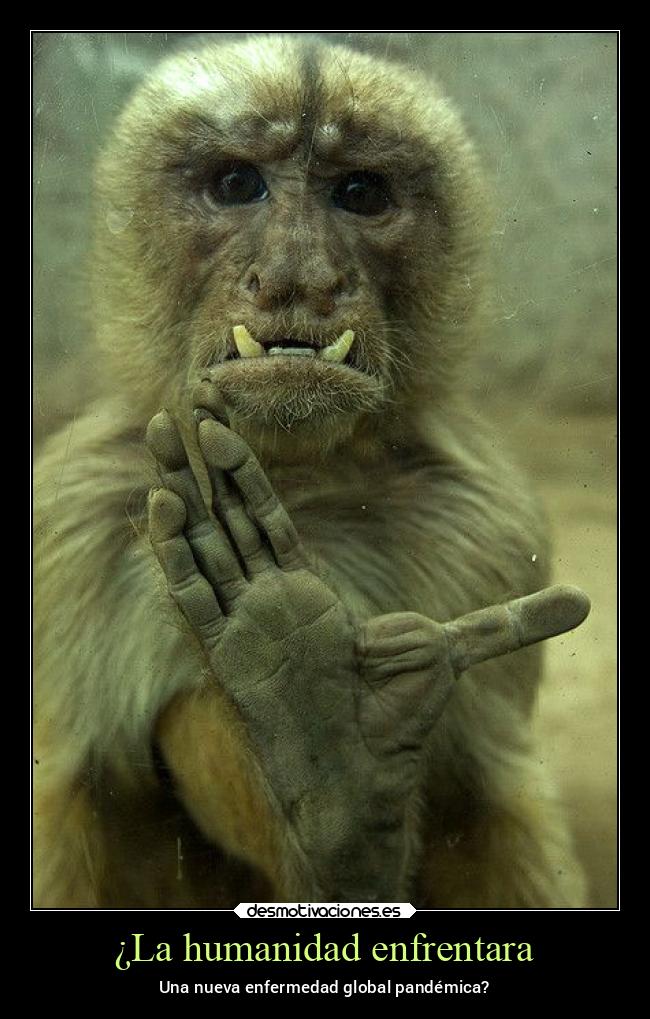 carteles miedo humanidad enfrentar nueva enfermedad global pandemia mono viruela pandemia2022 noticias2022 desmotivaciones
