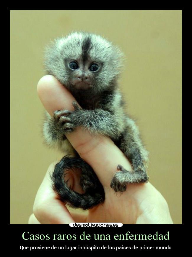 carteles mundo provenir inhospito paises primer noticias2022 mono viruela pandemia2022 desmotivaciones