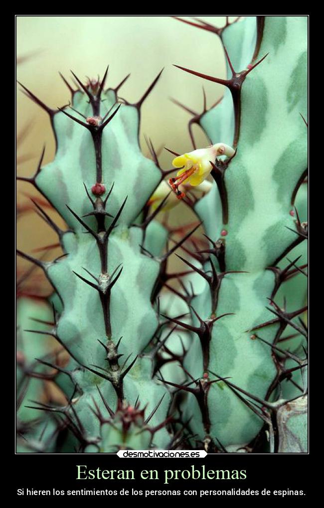 carteles problemas problemas sentimientos corazon cactus espinas primavera desmospring2022 desmotivaciones