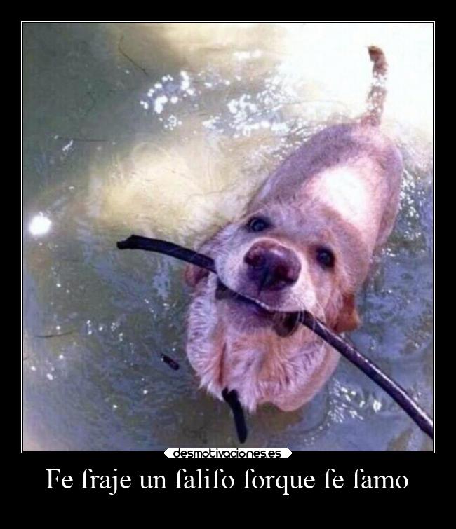 carteles vida aleinad2002 desmotivaciones