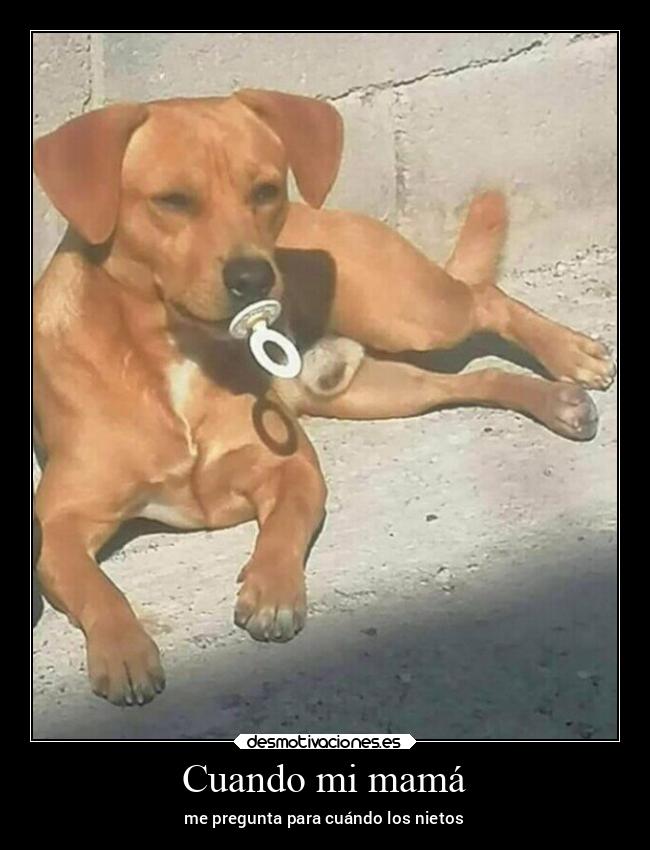 Cuando mi mamá - me pregunta para cuándo los nietos