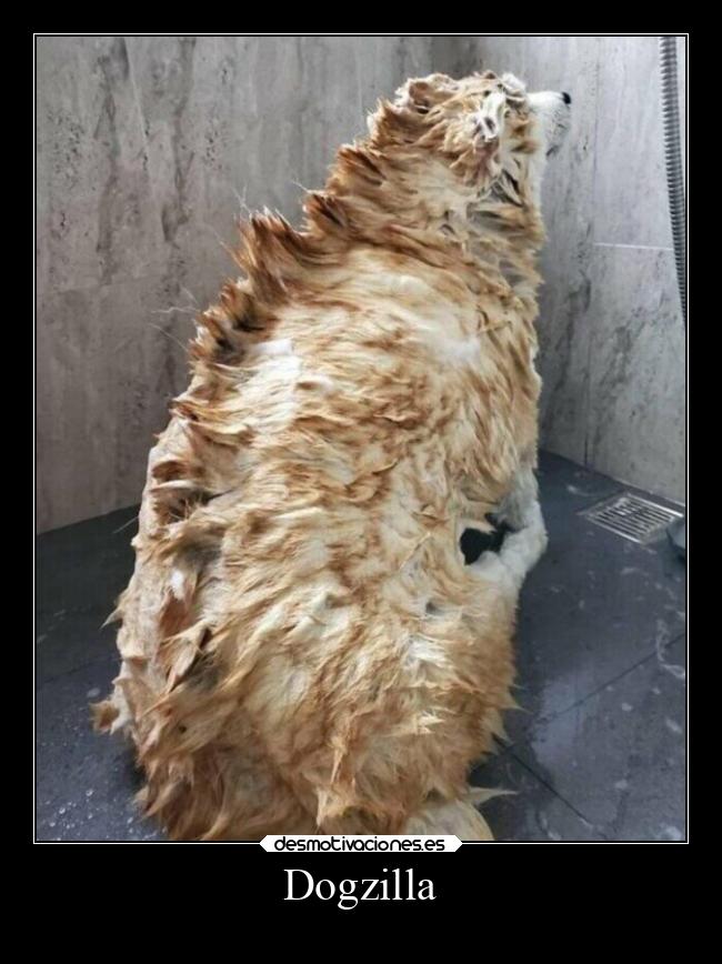 Dogzilla -