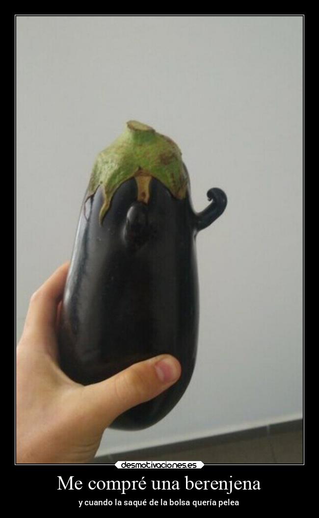 Me compré una berenjena - y cuando la saqué de la bolsa quería pelea