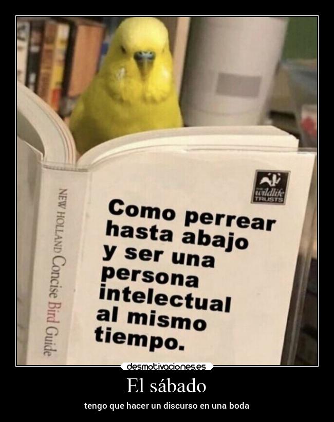 El sábado - tengo que hacer un discurso en una boda