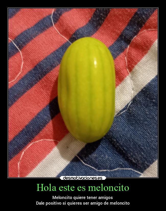 Hola este es meloncito - 