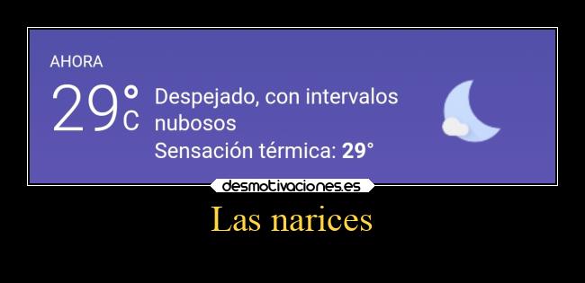 Las narices - 