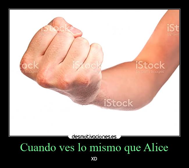Cuando ves lo mismo que Alice - 