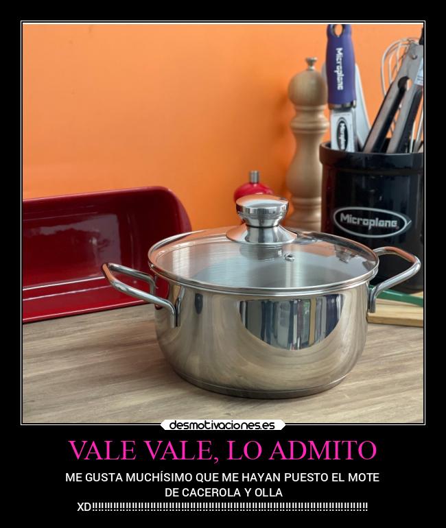 carteles alegria cacerolayollaxdxd soytonto topsecretelarlequindedesmoxd desmotivaciones