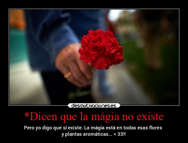 carteles alegria claveles rosas rojos plantasaromaticas josemariafernandezvillarroel granada desmotivaciones