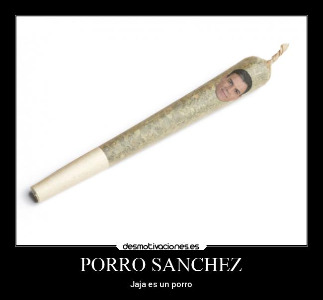 PORRO SANCHEZ -