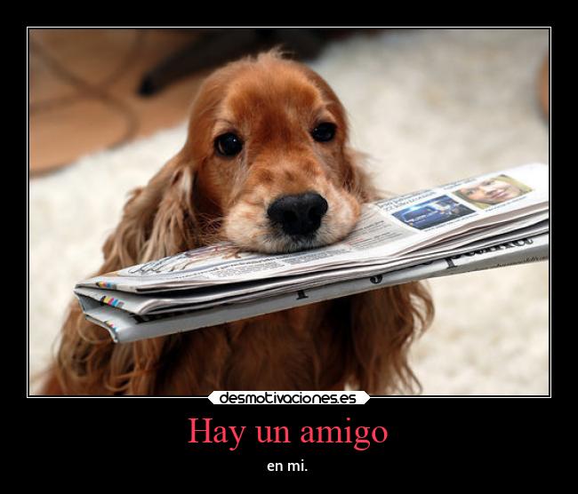 carteles amistad woorld perro desmotivaciones