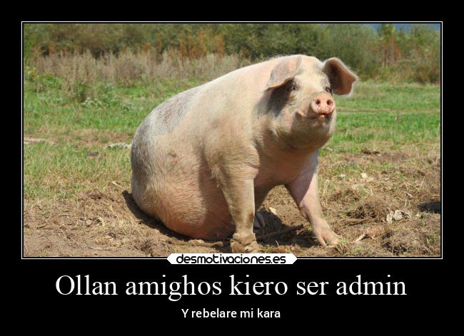 Ollan amighos kiero ser admin - Y rebelare mi kara