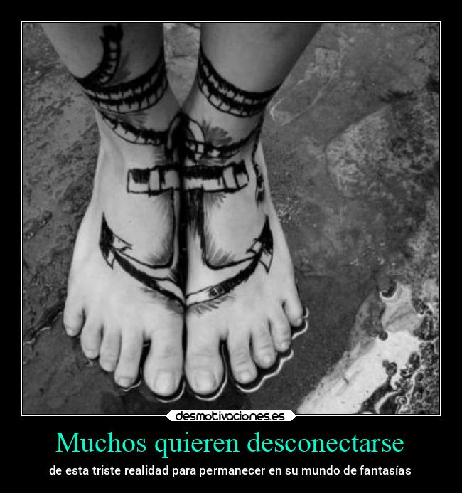 Muchos quieren desconectarse - 