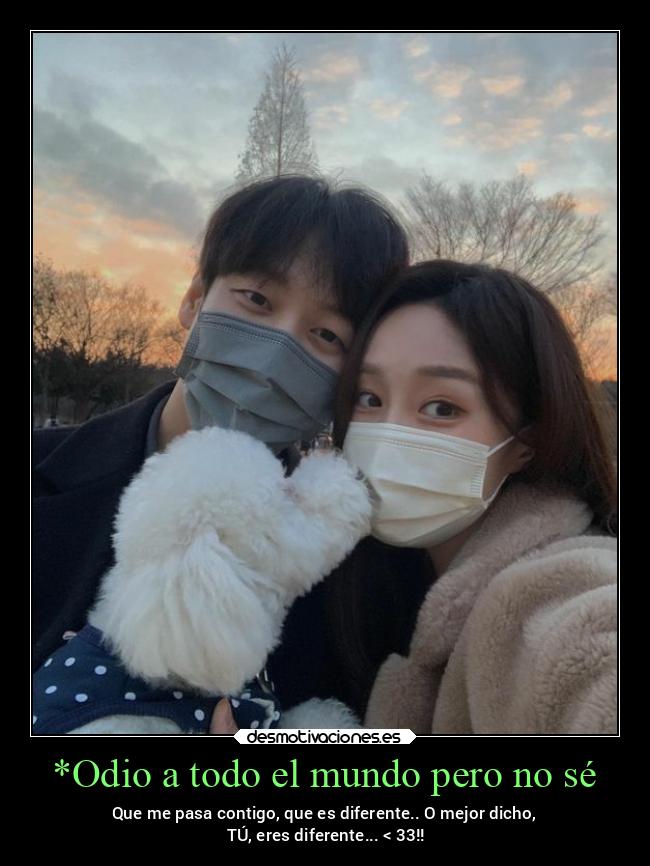 *Odio a todo el mundo pero no sé - 