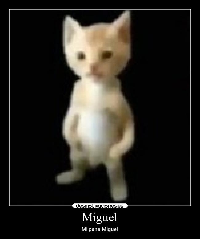 Miguel -