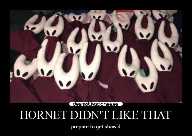 HORNET DIDNT LIKE THAT - prepare to get shawd