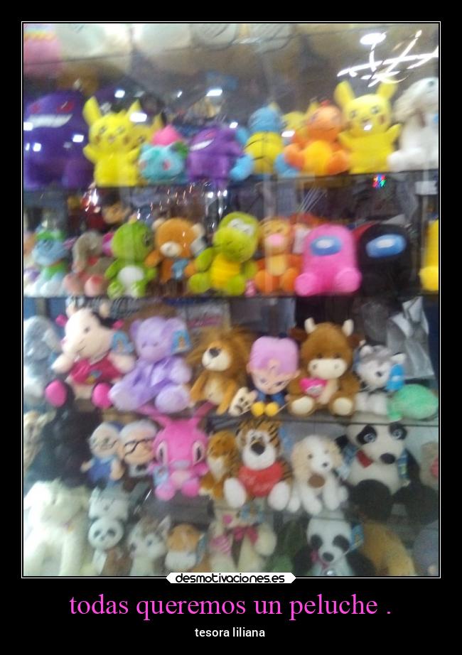 todas queremos un peluche . - tesora liliana