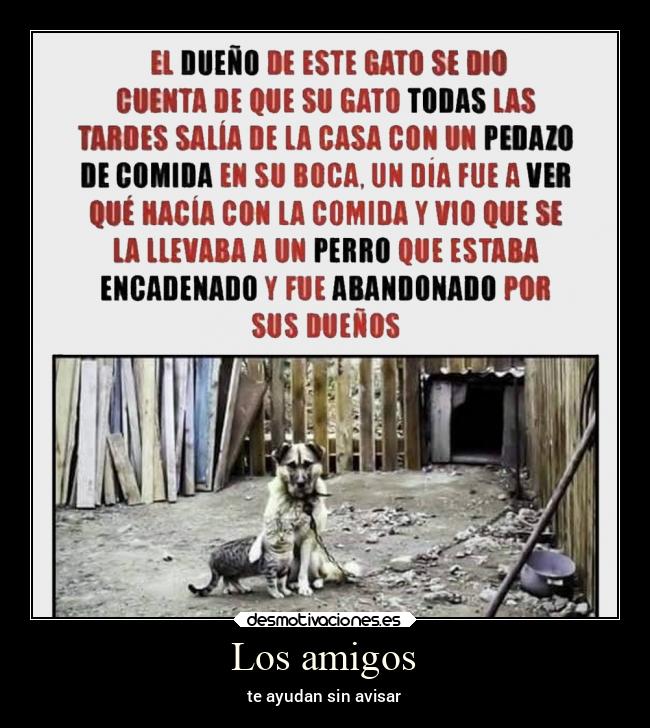 carteles amigos ayuda desmotivaciones