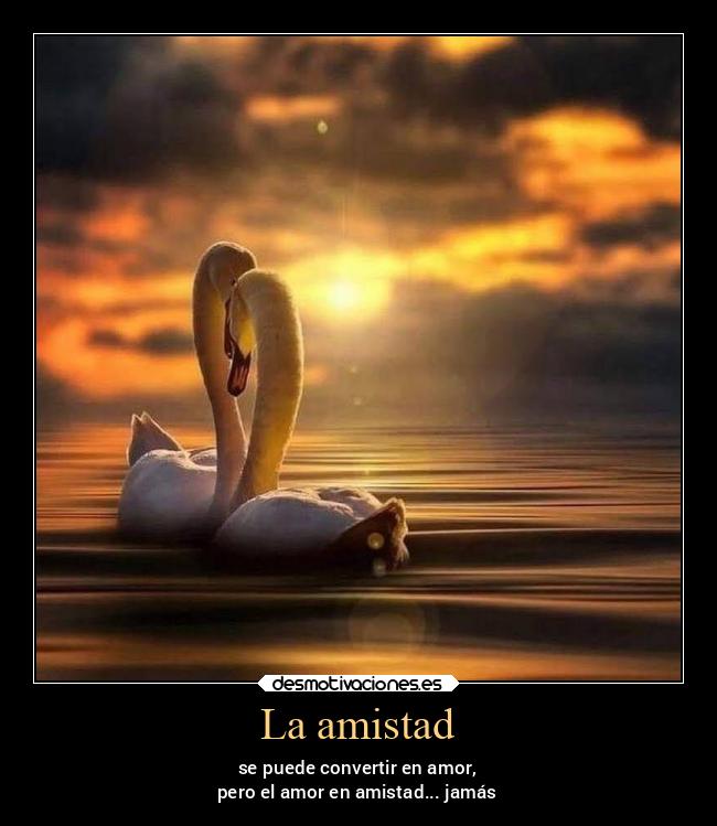 La amistad - se puede convertir en amor,
pero el amor en amistad... jamás