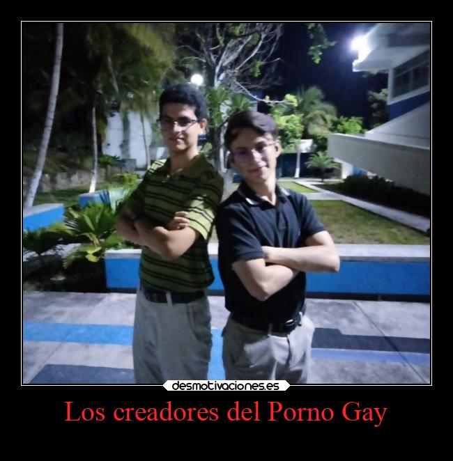 carteles amor animales desmotivaciones