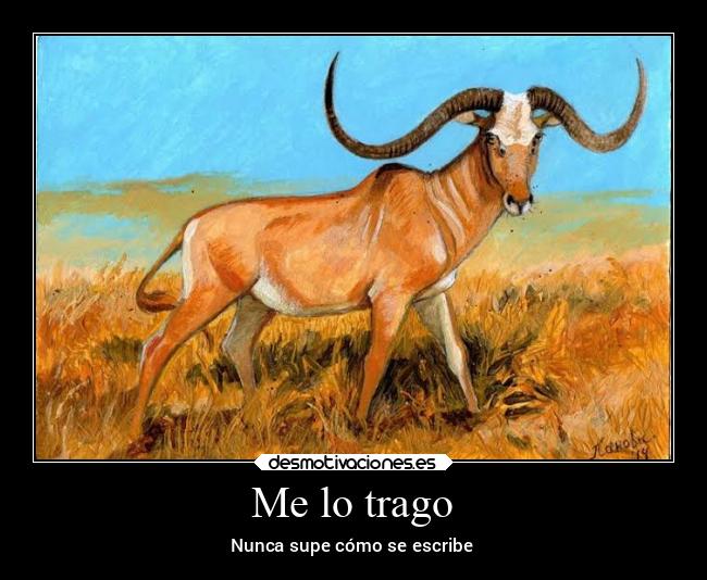 Me lo trago - Nunca supe cómo se escribe