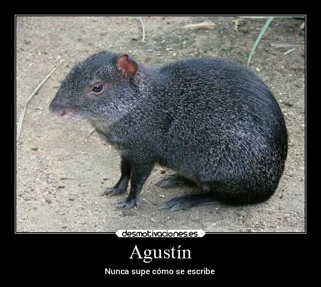 Agustín - Nunca supe cómo se escribe