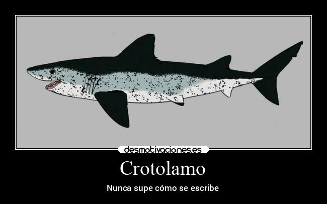 Crotolamo - Nunca supe cómo se escribe