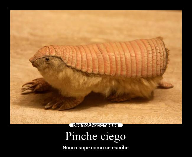 Pinche ciego - Nunca supe cómo se escribe