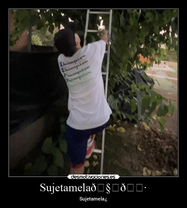 carteles ausencia desmotivaciones